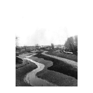 Frederick-Law Olmsted-3